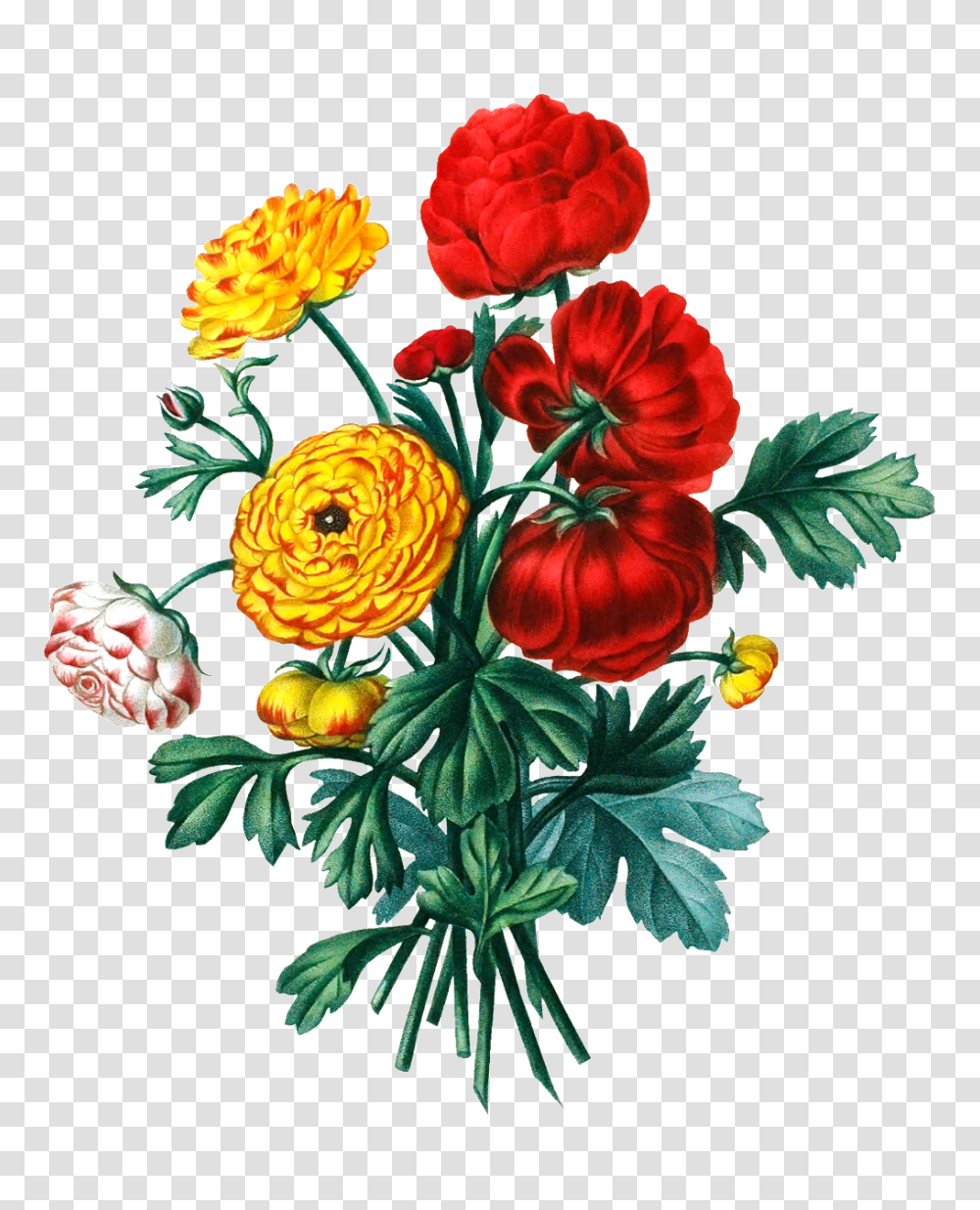 Color Hd Flower Bouquet Physical Elements Free Download, Plant, Floral Design Transparent Png