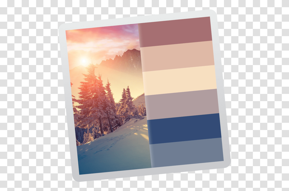 Color Palette From Image, Poster, Advertisement, Tree, Plant Transparent Png