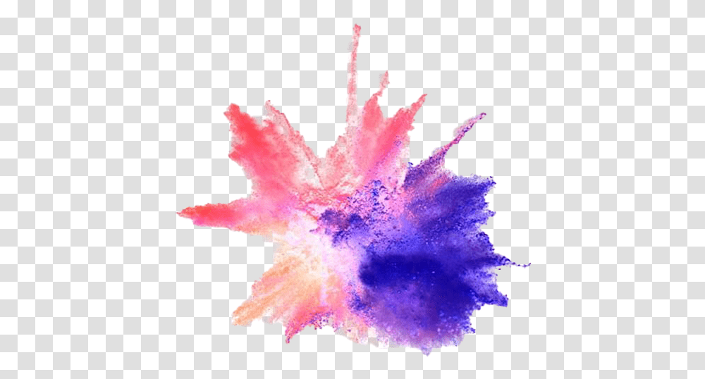 Color Powder Explosion, Leaf, Plant, Tree, Purple Transparent Png