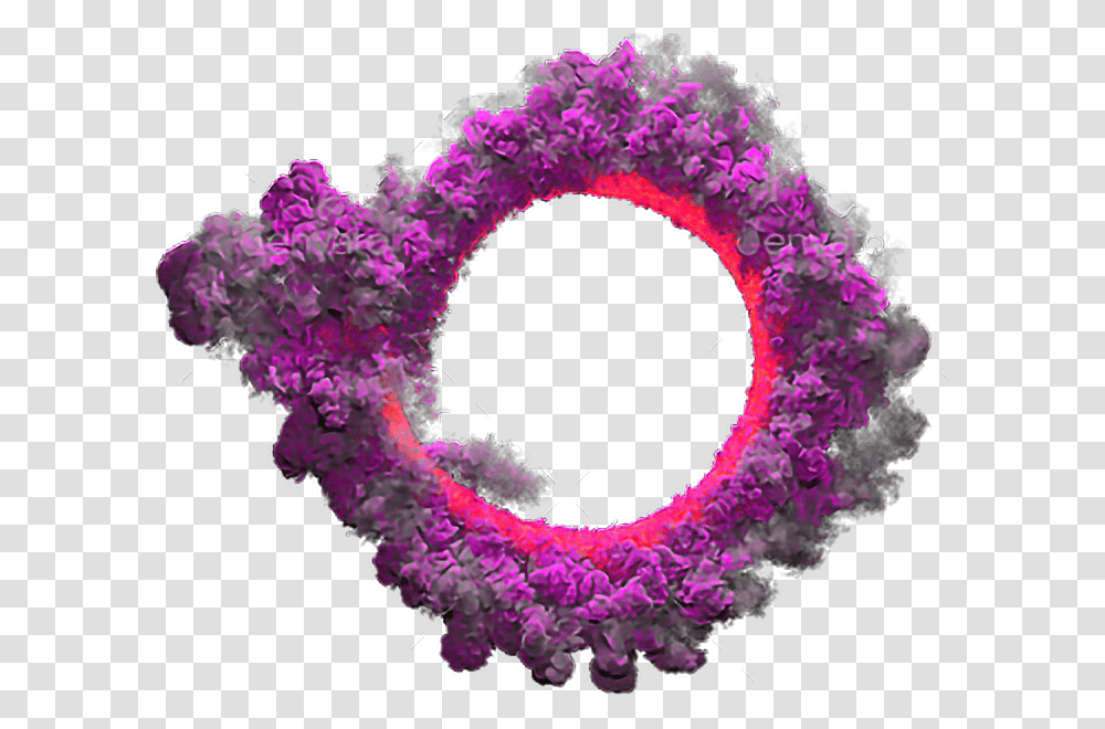 Color Smoke Effect, Wreath, Purple, Plant, Flower Transparent Png