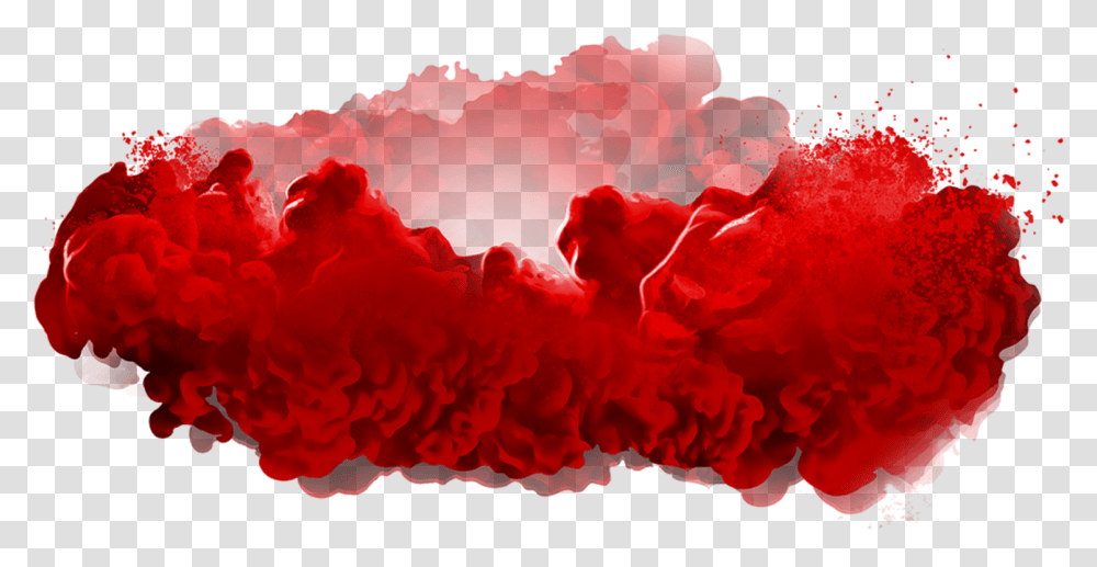 Color Smoke Google Search Images For Editing Background Red Smoke, Plant, Flower, Blossom, Carnation Transparent Png