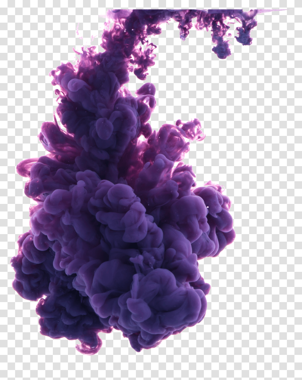 Color Splash Smoke Water Effect Purple Disolve Dim Ot Shashki, Pattern, Plant, Fractal, Ornament Transparent Png
