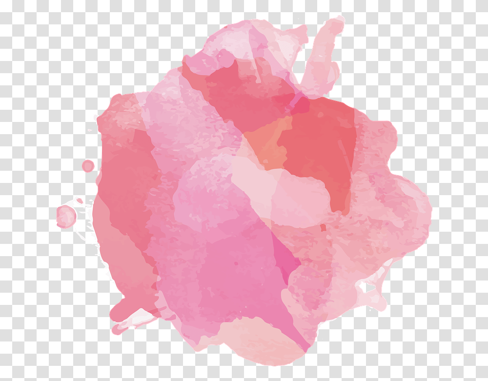 Color Spot Watercolour Pink Free Image On Pixabay Tache Aquarelle Rose, Petal, Flower, Plant, Blossom Transparent Png