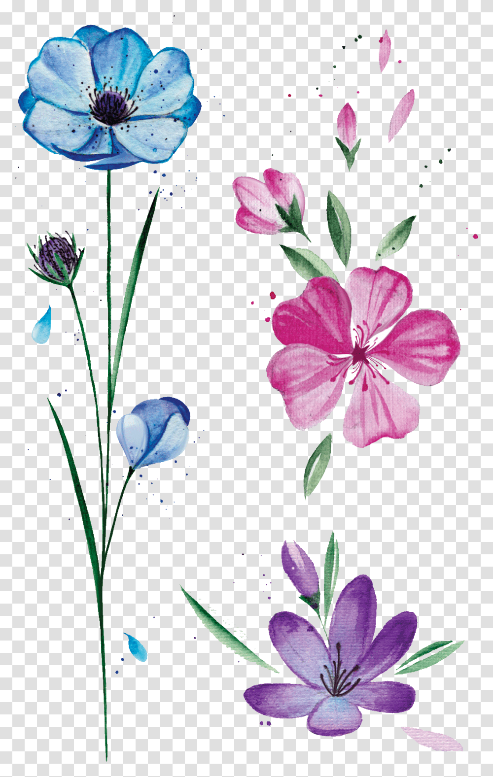Color Tattoo Spring Flower Tattoo, Geranium, Plant, Blossom, Petal Transparent Png