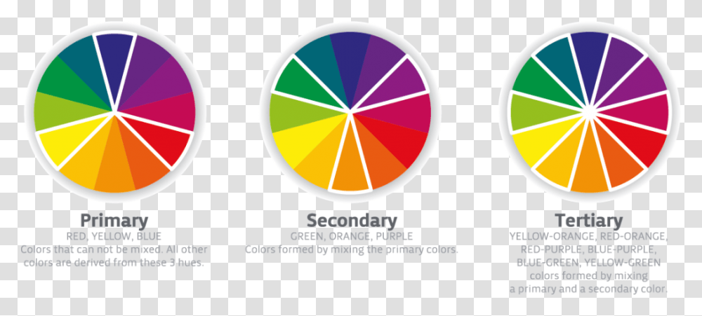 Color Types, Logo, Trademark Transparent Png