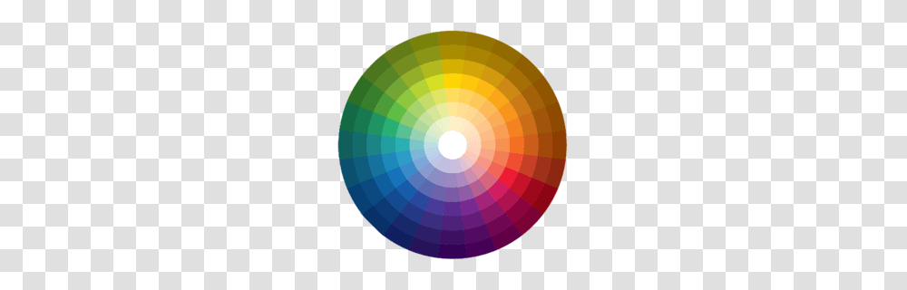 Color Wheel Clipart, Balloon, Sphere, Plant Transparent Png