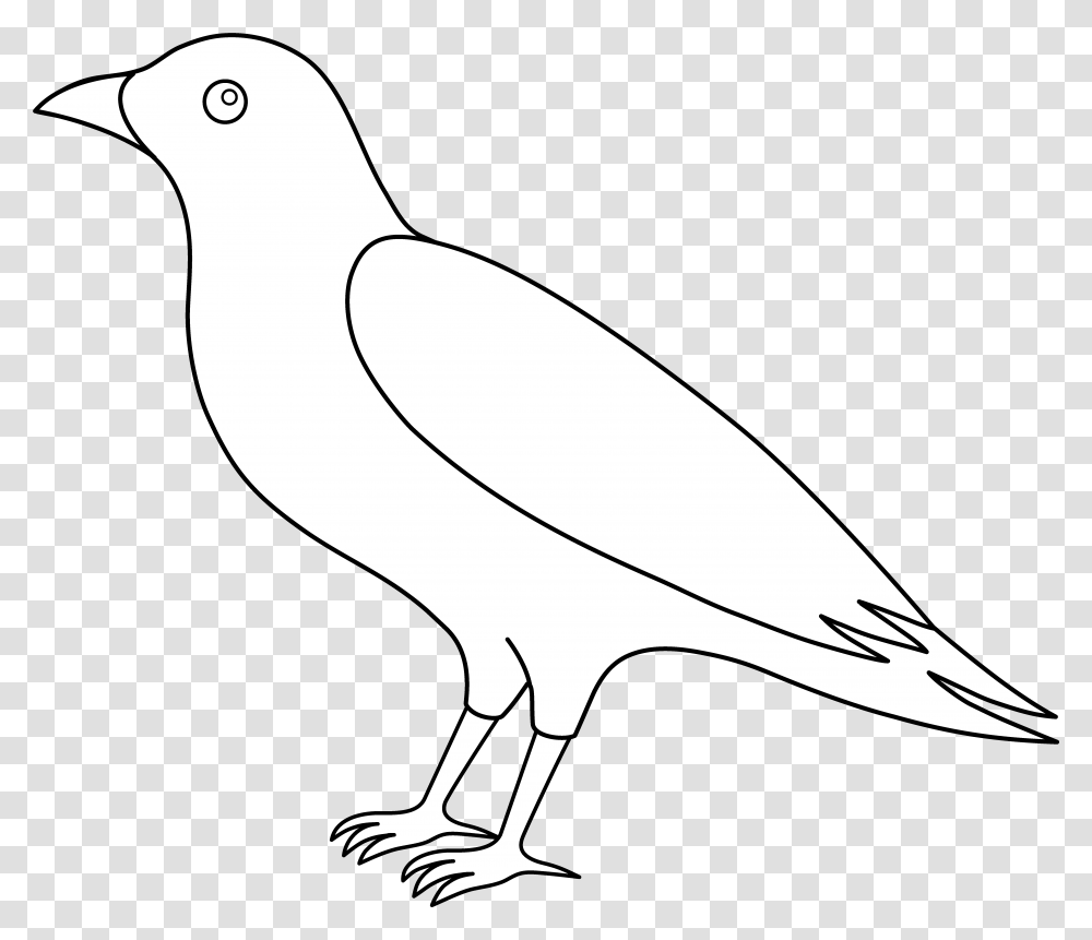 Colorable Crow Line Art Free Clip Outline Crow Clipart Black And White, Axe, Tool, Bird, Animal Transparent Png