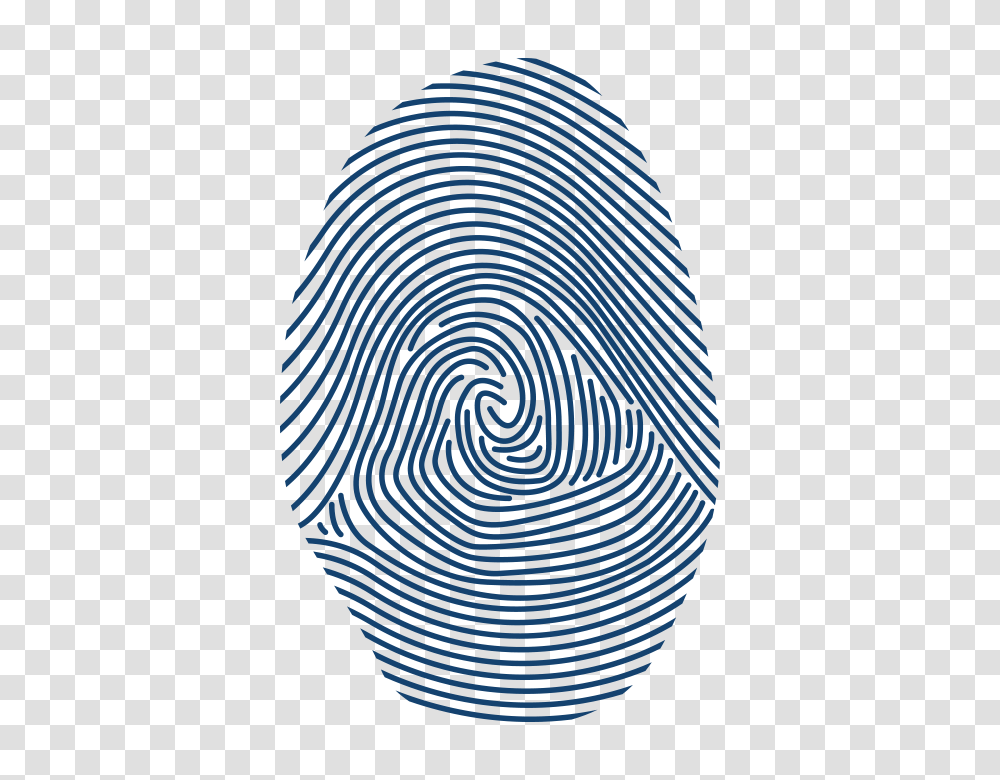 Colorado Fingerprinting, Spiral, Rug, Coil Transparent Png