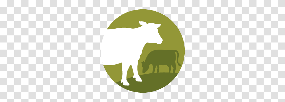 Colorado River Land Trust, Mammal, Animal, Wildlife, Goat Transparent Png