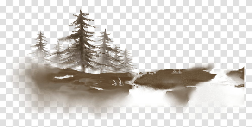 Colorado Spruce, Tree, Plant, Nature, Outdoors Transparent Png