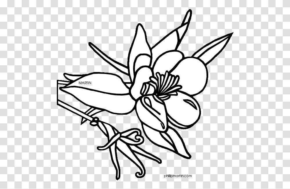 Colorado State Flower Drawing, Plant, Blossom, Stencil Transparent Png