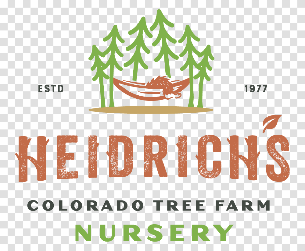 Colorado Tree Farm, Plant, Meal, Food Transparent Png