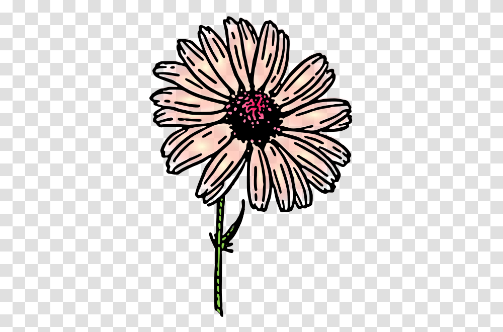 Colored Daisy Clip Arts For Web, Petal, Flower, Plant, Blossom Transparent Png