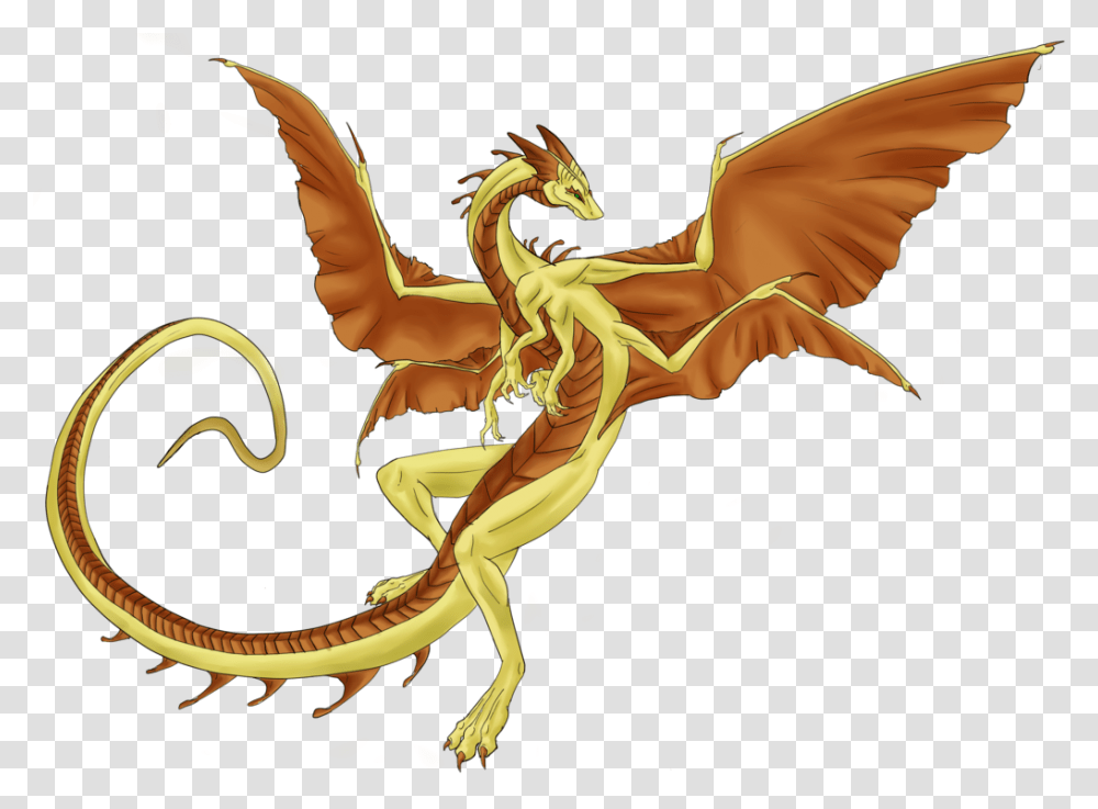 Colored Drawing Dragon Sand Dragons, Person, Human Transparent Png