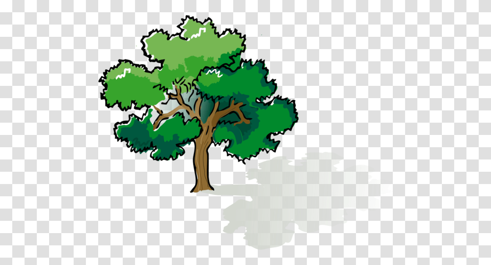 Colored Oak Tree Vector File For Free Tree Drawing, Plant, Vegetation, Nature, Outdoors Transparent Png
