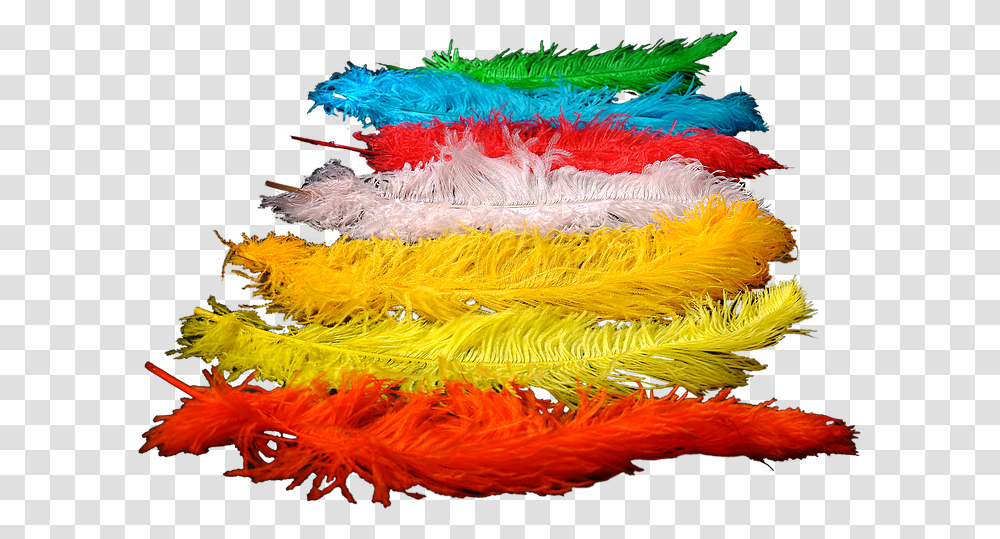 Colored Ostrich Feathers For Wedding Decoration And Colorado Spruce, Apparel, Scarf, Feather Boa Transparent Png