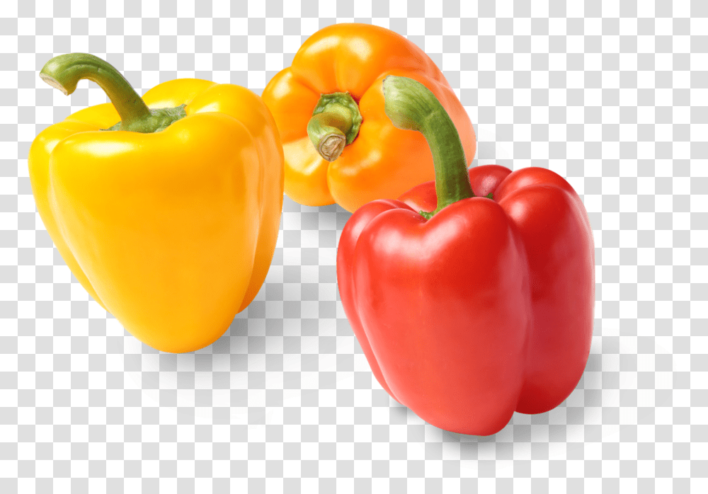 Colored Pepper, Plant, Vegetable, Food, Bell Pepper Transparent Png