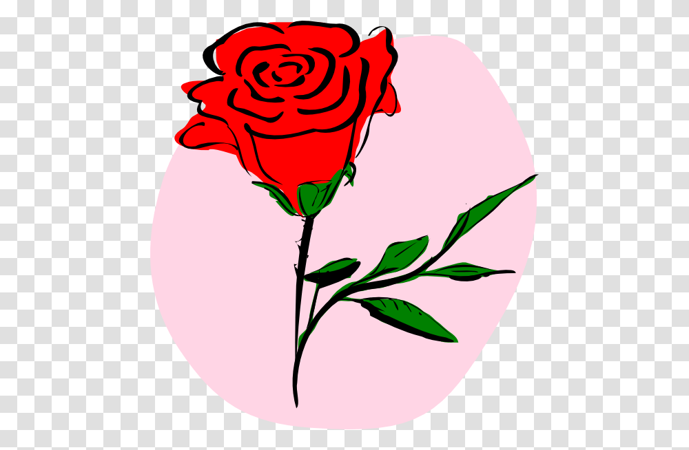 Colored Rose Drawing Clip Arts For Web, Flower, Plant, Blossom, Petal Transparent Png