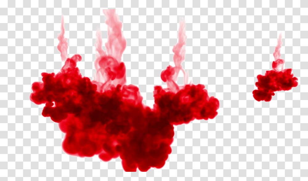 Colored Smoke Background All Red Colored Smoke, Plant, Flower, Blossom, Carnation Transparent Png