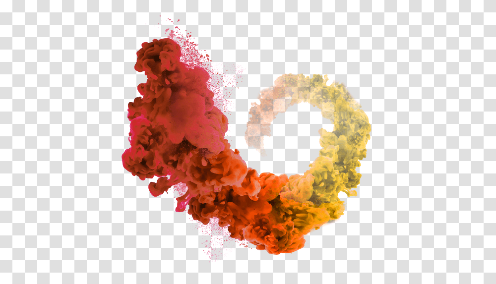Colored Smoke Explosion, Sea Life, Animal, Rose, Flower Transparent Png