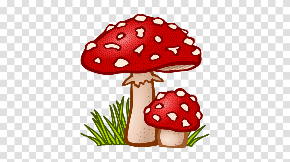 Colored Toadstool, Plant, Agaric, Mushroom, Fungus Transparent Png