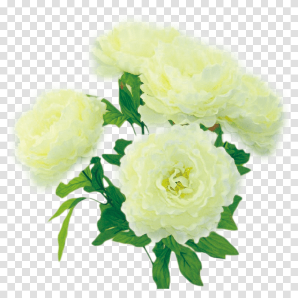 Colorfast Cream Peony Bush 30397cm Artificial Flower, Plant, Blossom, Carnation, Rose Transparent Png
