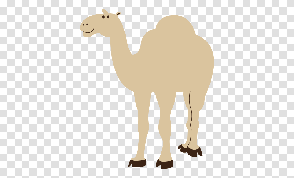 Colorful Animal Camel Geometry 555px Camel Picture No Background, Mammal, Chess, Game Transparent Png