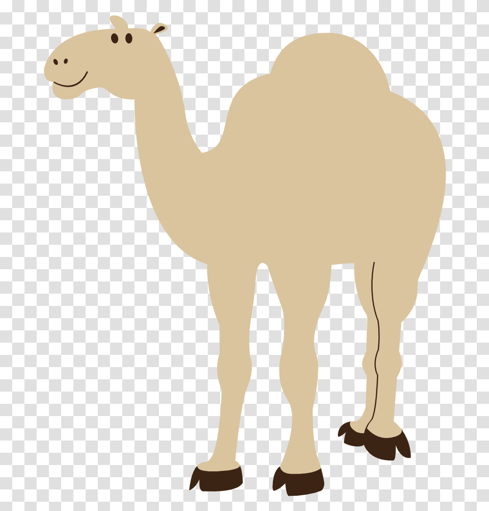 Colorful Animal Camel Geometry 999px 45 Camel Background Clipart, Mammal Transparent Png