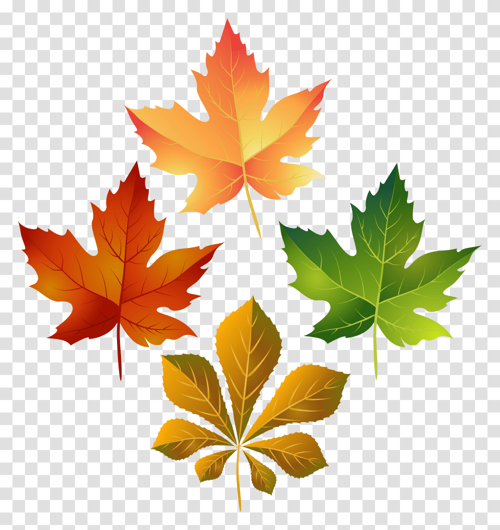 Colorful Autumn Leaves Clip Art Transparent Png