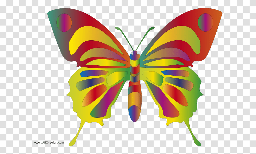 Colorful Butterflies Clipart Butterfly Clip Art, Ornament, Pattern, Insect, Invertebrate Transparent Png