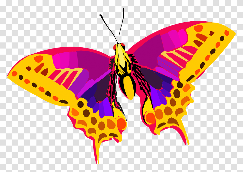 Colorful Butterfly, Pattern, Insect, Invertebrate, Animal Transparent Png