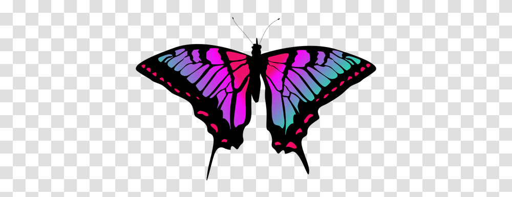 Colorful Butterfly Vector Mariposa Vector, Insect, Invertebrate, Animal, Kite Transparent Png