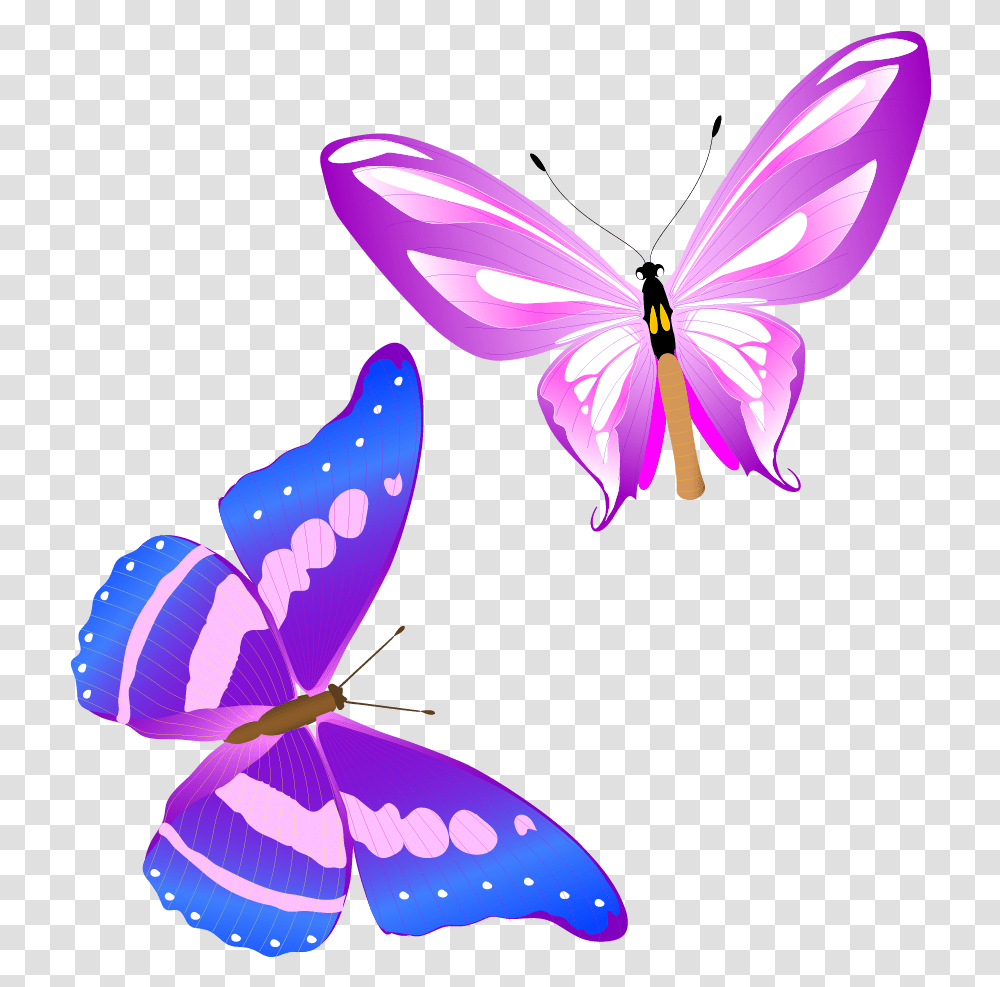 Colorful Butterfly Vector, Purple, Plant, Flower, Blossom Transparent Png