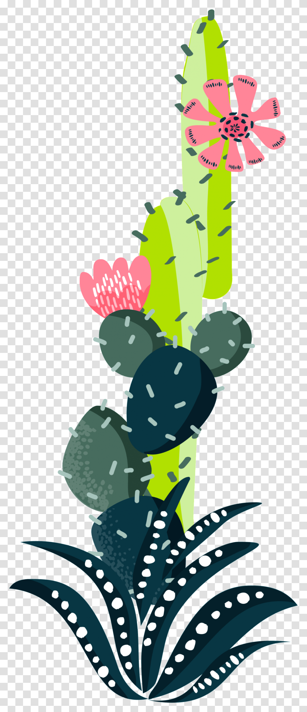 Colorful Cactus Plant Watercolor Hand Painted, Grapes, Fruit, Food Transparent Png