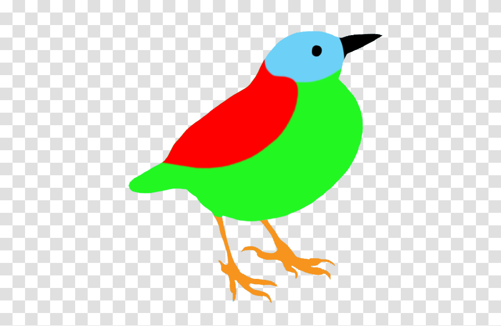 Colorful Drawings Of Birds, Animal, Canary Transparent Png
