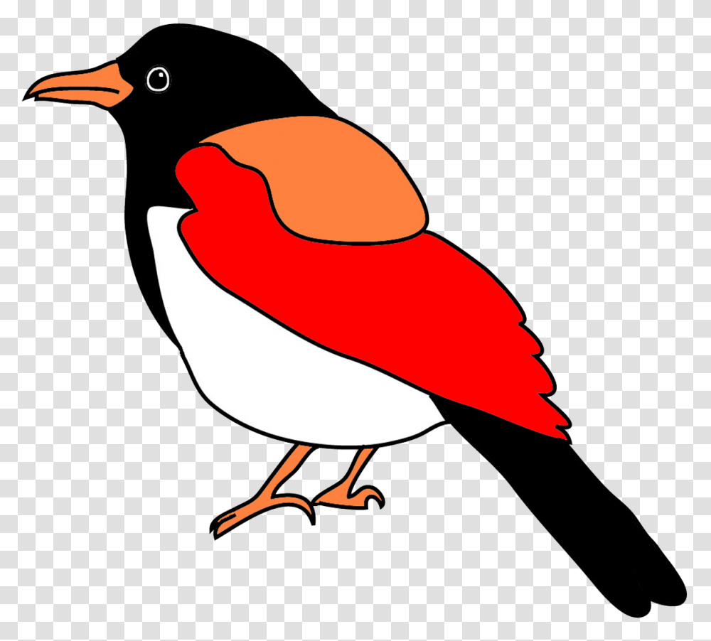 Colorful Drawings Of Birds, Animal, Hammer, Tool, Finch Transparent Png