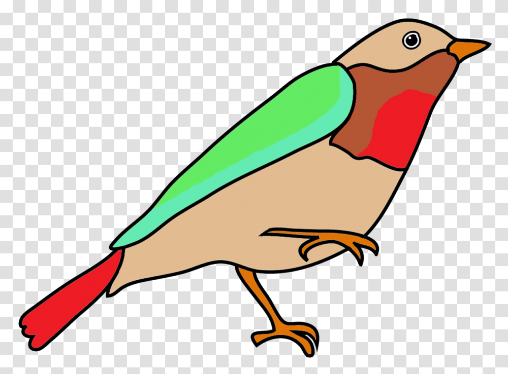 Colorful Drawings Of Birds, Beak, Animal, Finch, Duck Transparent Png
