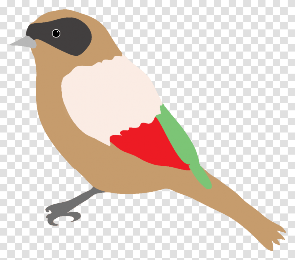 Colorful Drawings Of Birds Bird Drawing, Finch, Animal, Person, Human Transparent Png