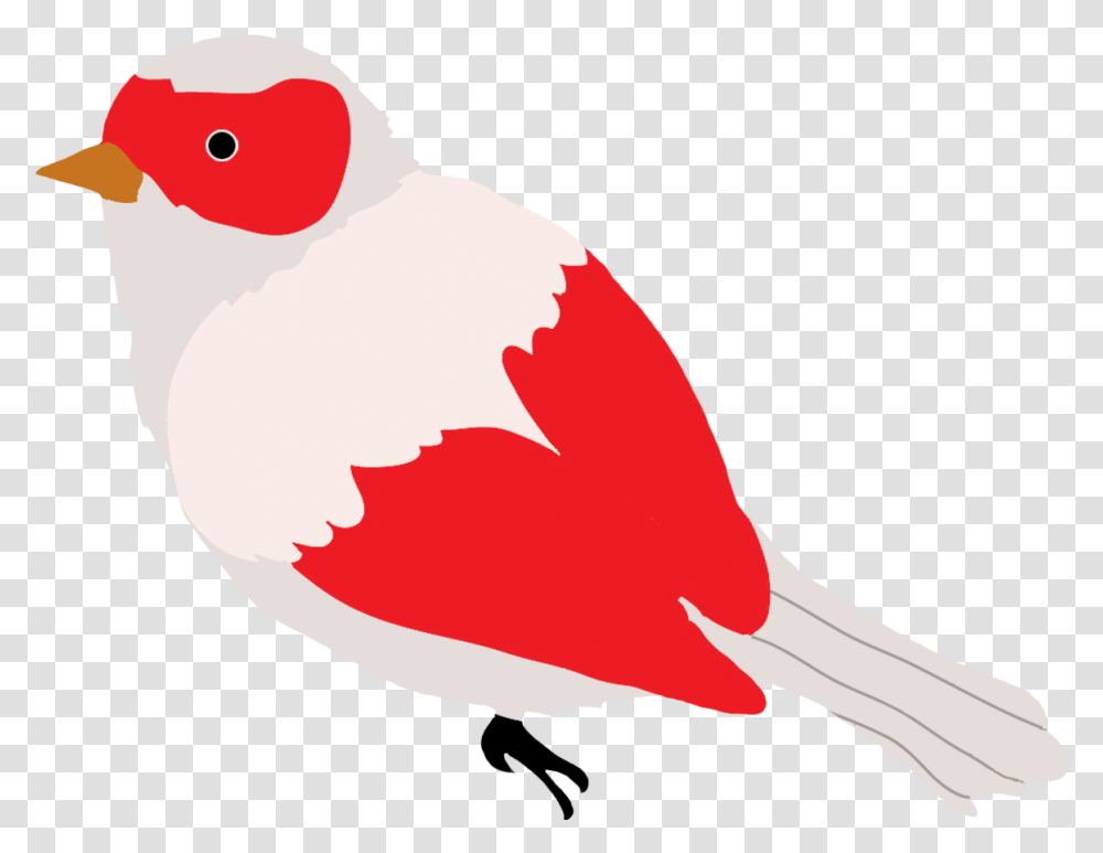 Colorful Drawings Of Birds Clip Art, Animal, Person, Human Transparent Png