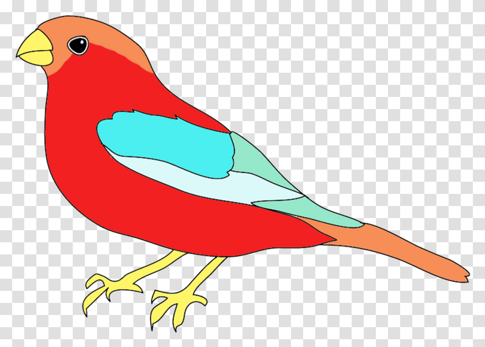 Colorful Drawings Of Birds Draw And Colour A Bird, Animal, Jay, Finch, Parakeet Transparent Png