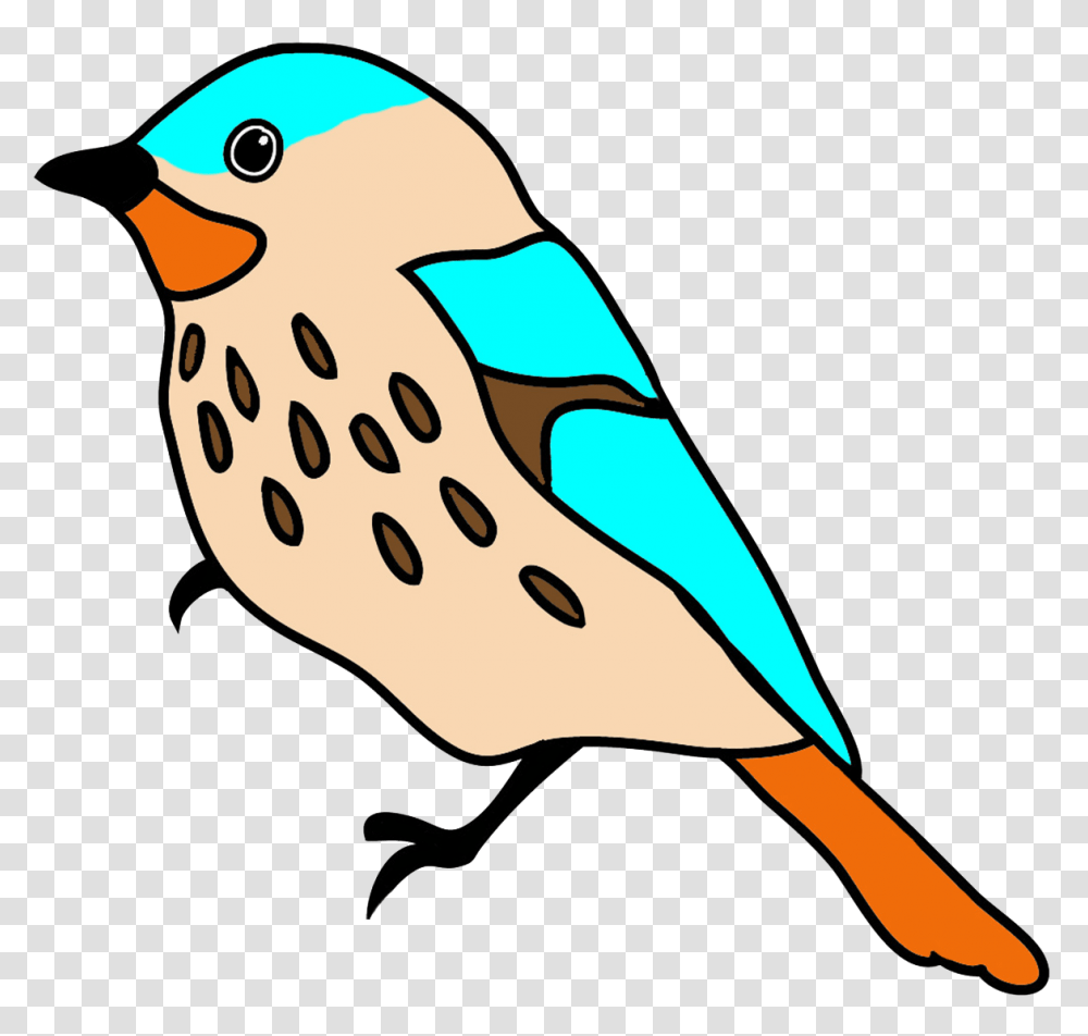 Colorful Drawings Of Birds, Jay, Animal, Bluebird, Finch Transparent Png