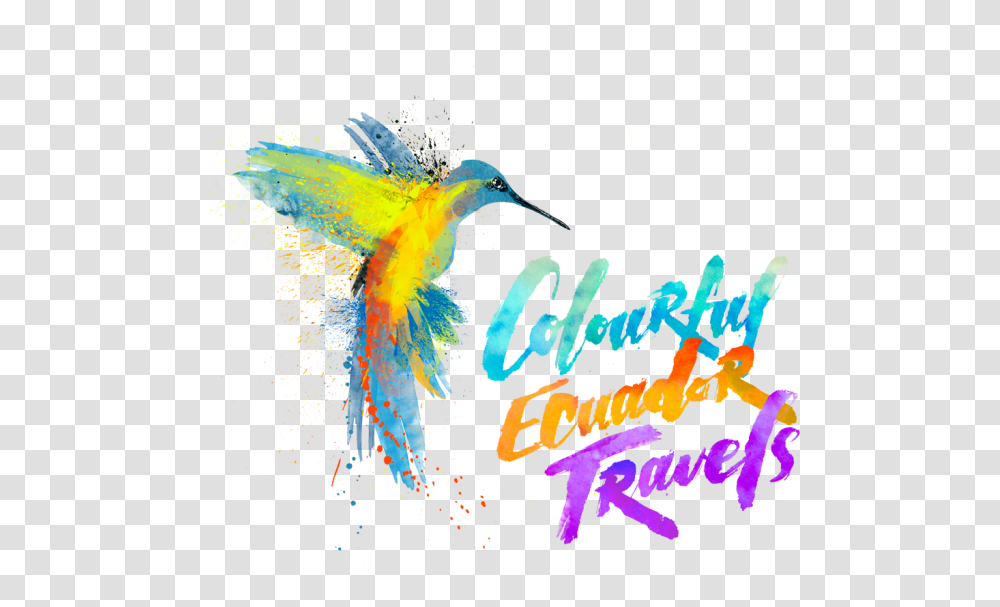 Colorful Ecuador Travels, Pattern Transparent Png