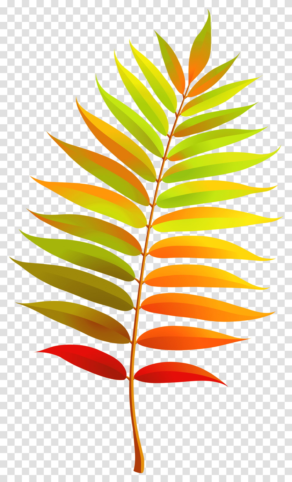 Colorful Fall Leaf Clipart Fall Leaf Clipart, Green, Plant, Fern, Pineapple Transparent Png