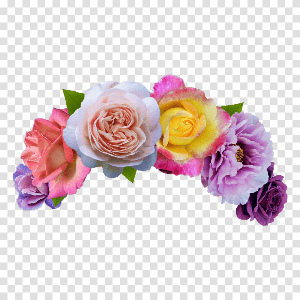 Colorful Flower Crown Flower Crown, Plant, Blossom, Rose, Petal Transparent Png