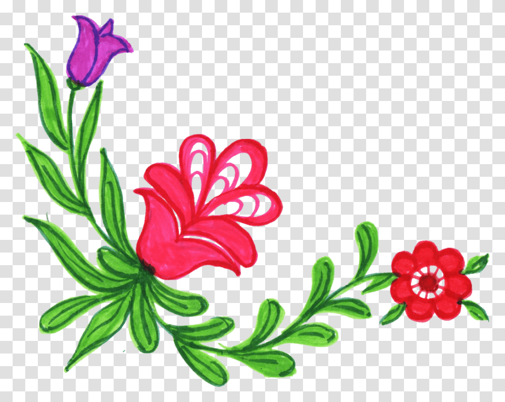 Colorful Flower, Plant, Blossom, Hibiscus, Geranium Transparent Png