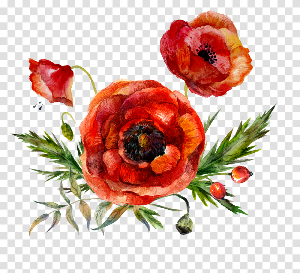 Colorful Flower Transparent Png