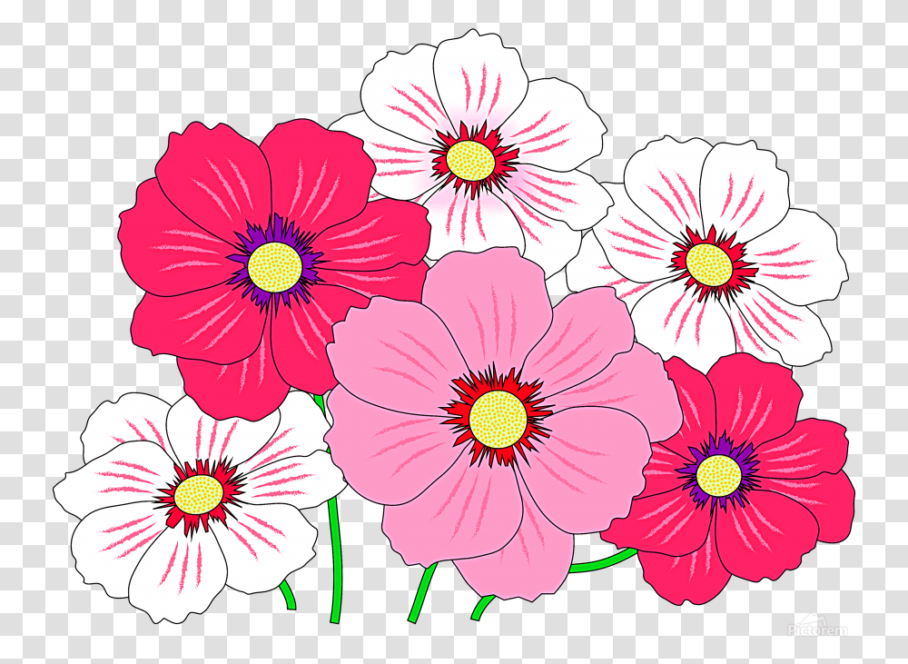 Colorful Flowers 02 Osg Acrylic Print Imagini Floare Mov Desemata, Plant, Blossom, Petal, Daisy Transparent Png