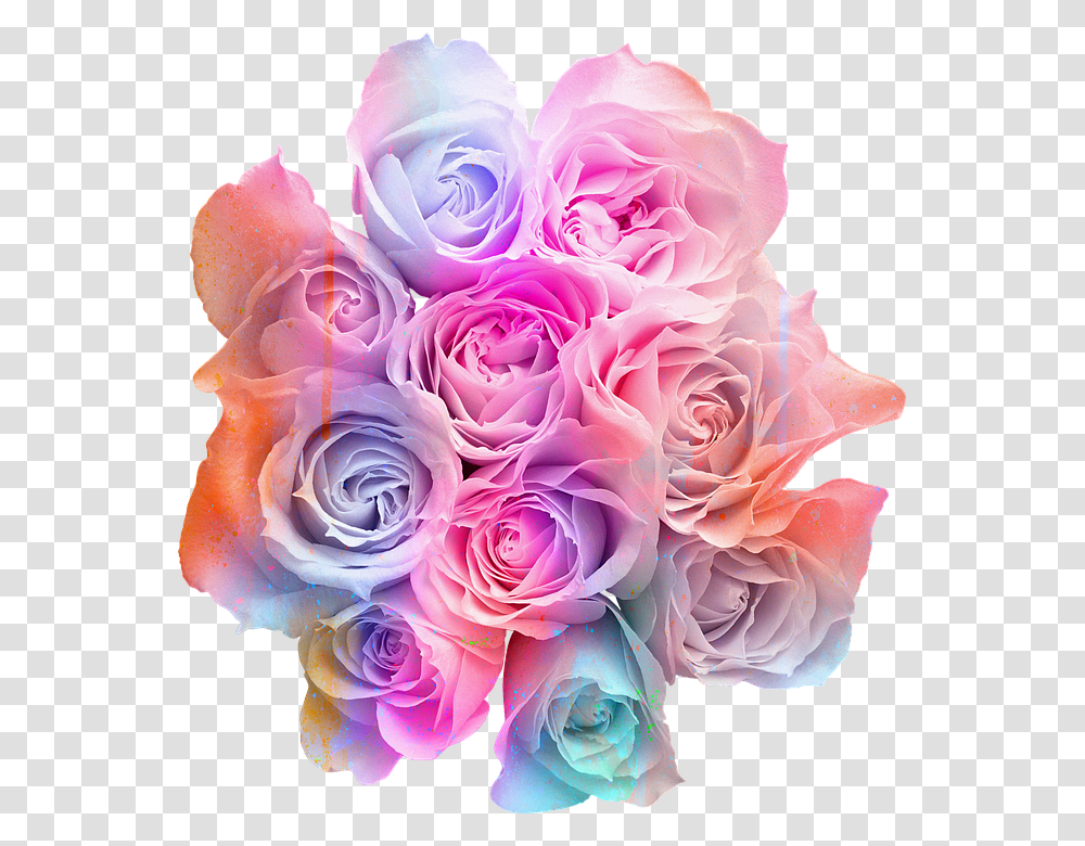 Colorful Flowers Background, Plant, Flower Bouquet, Flower Arrangement, Blossom Transparent Png