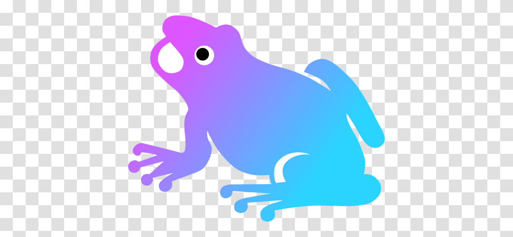 Colorful Frog, Animal, Amphibian, Wildlife, Bird Transparent Png