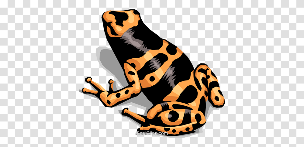 Colorful Frog Royalty Free Vector Clip Art Illustration, Animal, Mammal, Wildlife, Person Transparent Png